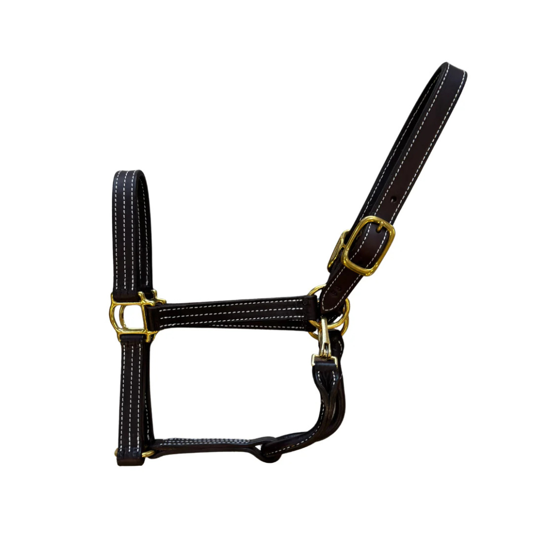 Ashton Belcher Equestrian Halter