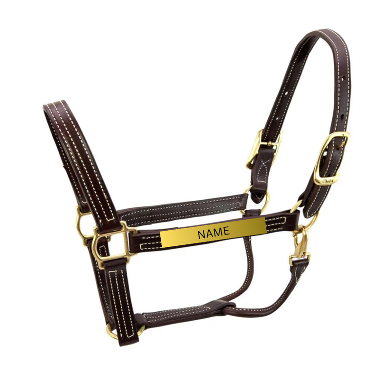 Blue Mountain Farm Walsh Halter