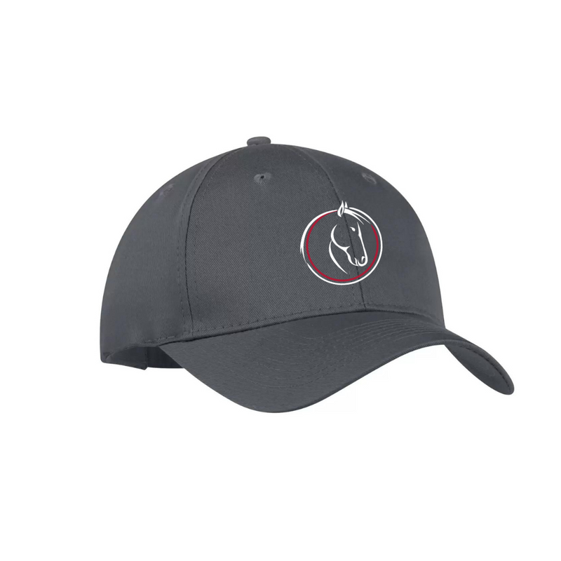 TMEC Ball Cap