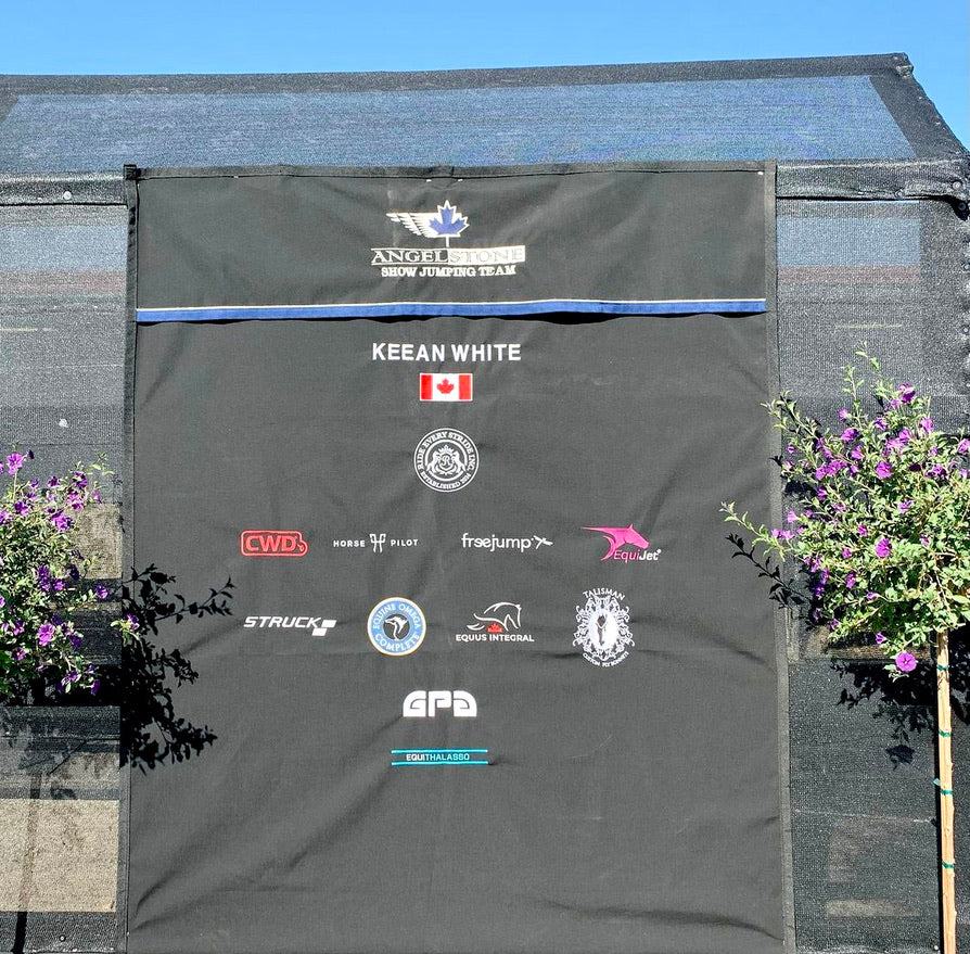 RES Euro & FEI Panel