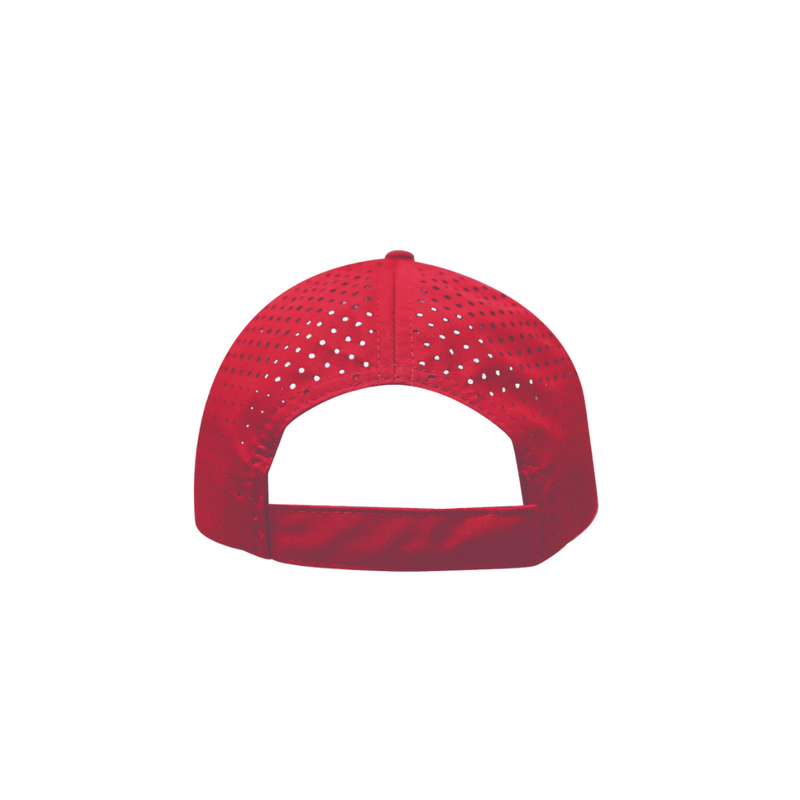 Mesh Panel Cap